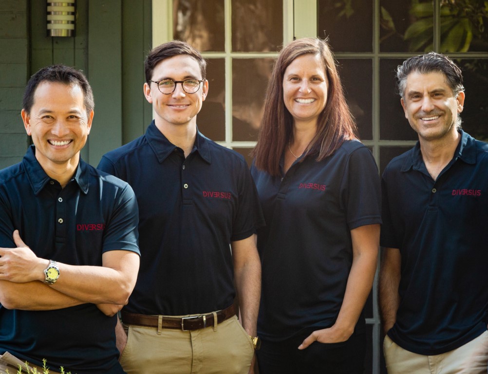 Diversus about us